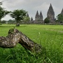 Blik op de Prambanan<br>Copyright J.H. Bouma & P.A. Jasperse
