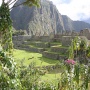 Machu Picchu<br>Copyright J.H. Bouma & P.A. Jasperse