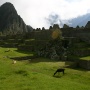 Machu Picchu <br>Copyright J.H. Bouma & P.A. Jasperse