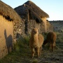 Woonhuis op de Altiplano<br>Copyright J.H. Bouma & P.A. Jasperse