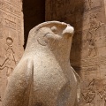 Horus, tempel van Edfu<br>Copyright J.H. Bouma & P.A. Jasperse