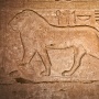 Afbeelding van een leeuw, Karnak<br>Copyright J.H. Bouma & P.A. Jasperse