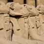 Rammen in Karnak<br>Copyright J.H. Bouma & P.A. Jasperse
