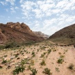 Landschap tijdens de Wadi Dana Trail<br>Copyright J.H. Bouma & P.A. Jasperse